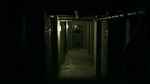Manivore АВТОДОСТАВКА STEAM РОССИЯ