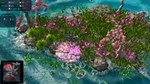Moduwar АВТОДОСТАВКА STEAM РОССИЯ