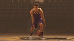 Rock the Rim АВТОДОСТАВКА STEAM РОССИЯ