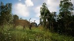 DREADZONE АВТОДОСТАВКА STEAM РОССИЯ