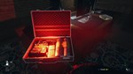 SWAT Commander АВТОДОСТАВКА STEAM РОССИЯ
