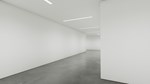 Twisted Gallery АВТОДОСТАВКА STEAM РОССИЯ