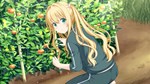 Kono Aozora ni Yakusoku o Refine АВТОДОСТАВКА STEAM РОС