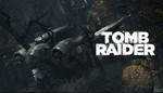 Tomb Raider 2013 DLC Collection (Steam Gift / ROW)