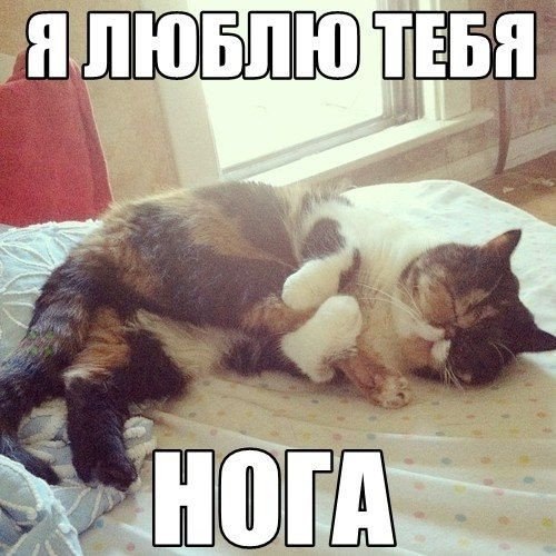 Тестовая покупка