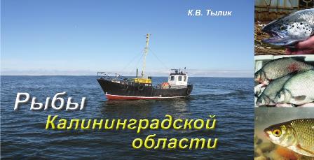 Fish Kaliningrad region