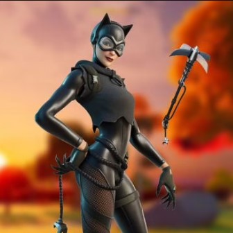 Купить (fortnite) catwoman Фотография (fortnite) catwoman