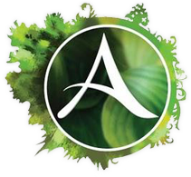 ArcheAge GOLD