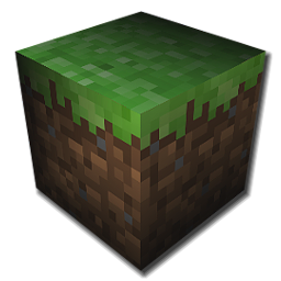 Minecraft без доступа к смене скина