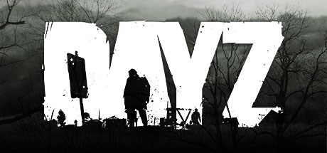 Steam аккаунт - DayZ