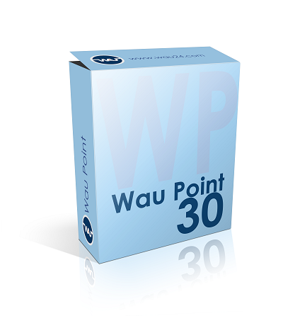 Пополнение баланса 30 wp