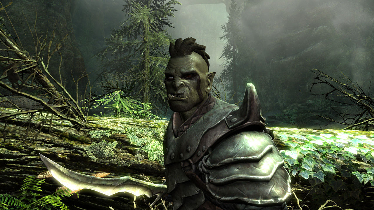 The Elder Scrolls V: Skyrim (Steam Gift Region Free) .