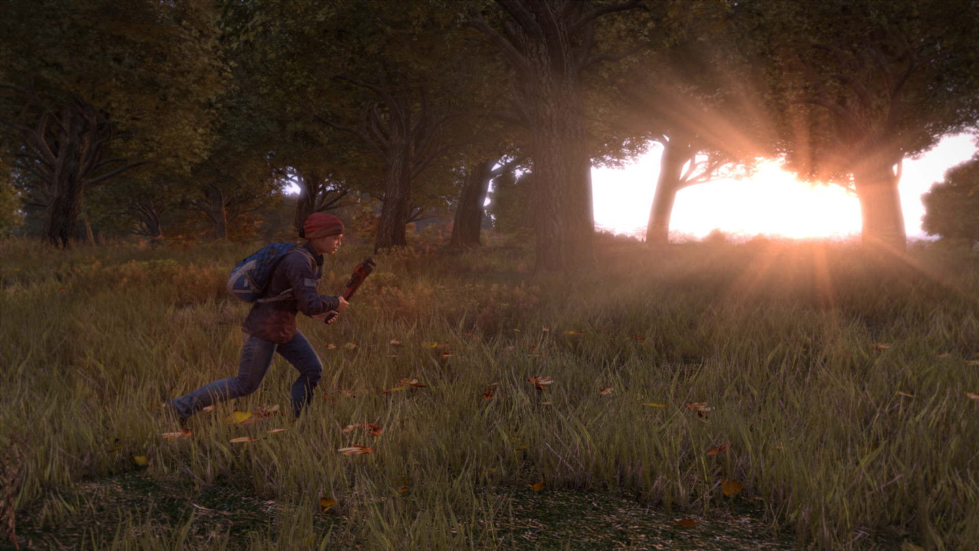 Buy Dayz Standalone Day Z Steam Region Free Row Gift And Download