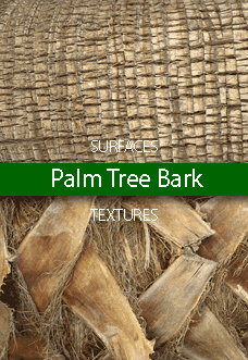 Palm Tree Bark Surfaces