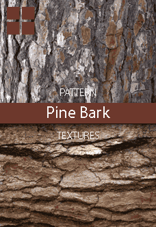 Pine Bark Patterns