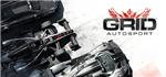 Grid Autosport (steam gift)