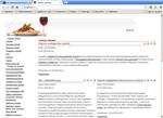 Joomla 1.5 Template versiya_9