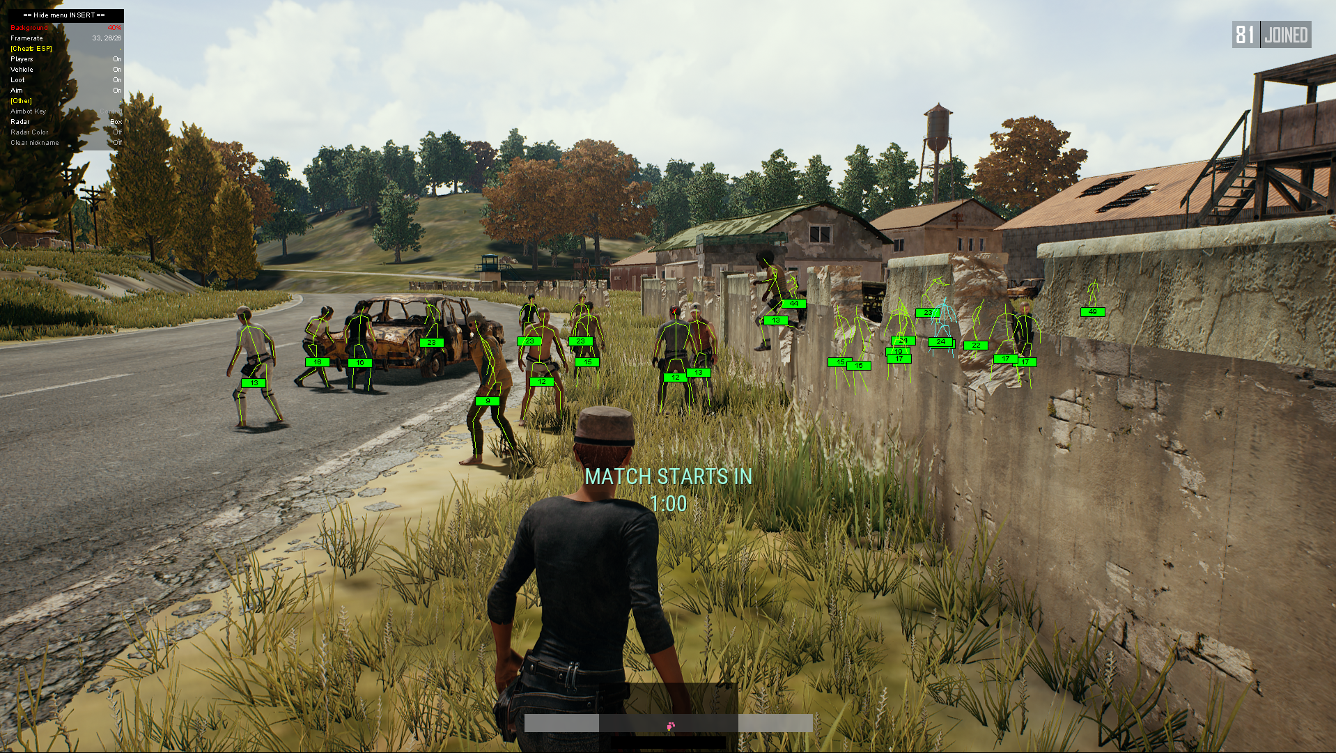 Desync hack: WH+AIM+RADAR PUBG [2 weeks] - 