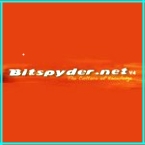 Bitspyder.net: Аккаунт с буфером