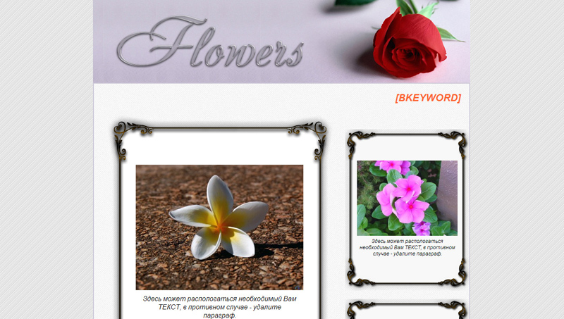 Универсальный шаблон для ДДЛ "Flowers".
