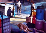 Werewolf The Apocalypse Earthblood | Xbox Ключ/Код