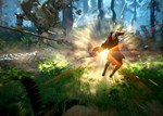 Black Desert: Heroic Edition | Xbox Series X|S Ключ/Код
