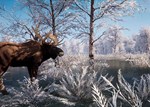 Medieval & Sengoku Dynasty Xbox Series X|S Ключ/Код