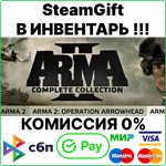 Arma 2: Complete Collection [SteamGift/RU+CIS]💳0%