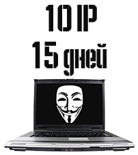 10 IP на 15 дней