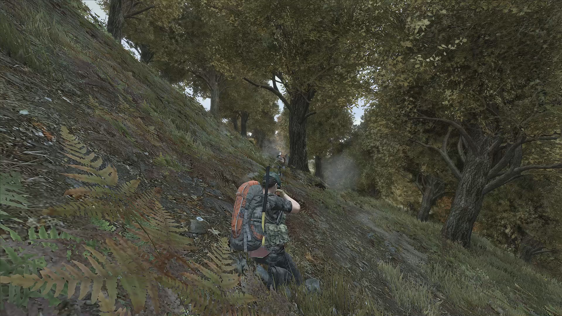 Dayz Dayz