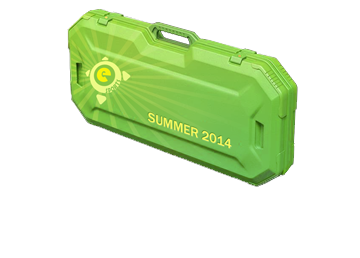 Случайное оружие из Summer 2014