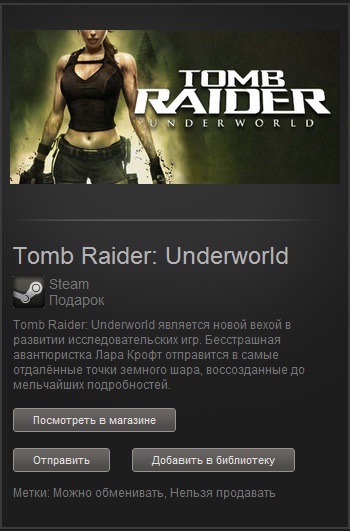 Tomb Raider: Underworld (Steam Gift/Region Free)