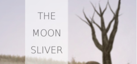 The Moon Sliver (Steam Key, Region Free)