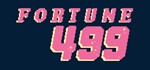 Fortune-499 (Steam KEY, Region Free) - irongamers.ru