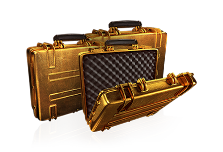 Золотой кейс. Золотой чемодан. Бронзовый кейс. Чемодан с золотом.