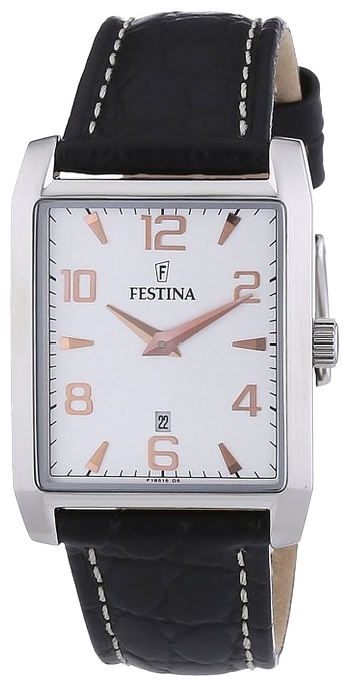 Часы Festina CORREA CLASICO F16515/6