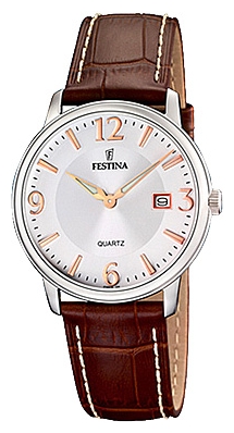 Часы Festina CORREA CLASICO F16517/3