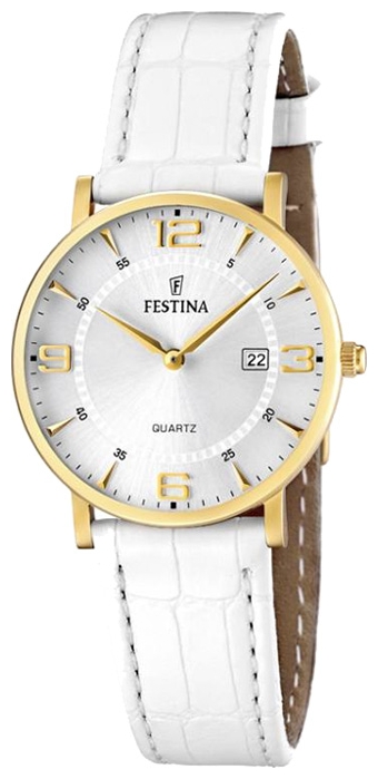Часы Festina CORREA CLASICO F16479/3