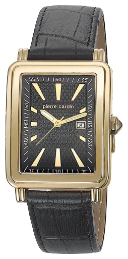 Часы Pierre Cardin PC104831F03