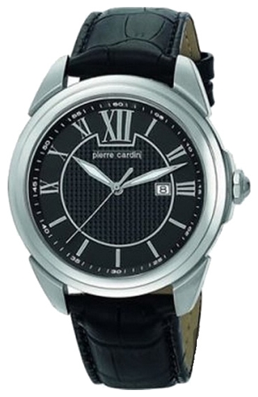 Часы Pierre Cardin PC104891F04