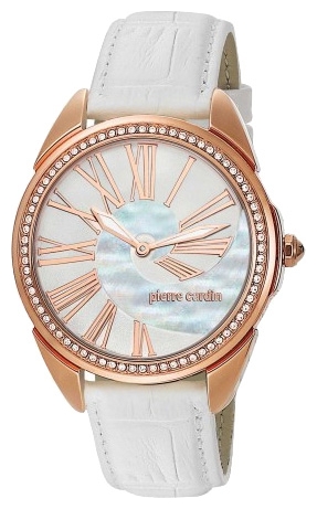 Часы Pierre Cardin PC104992F04