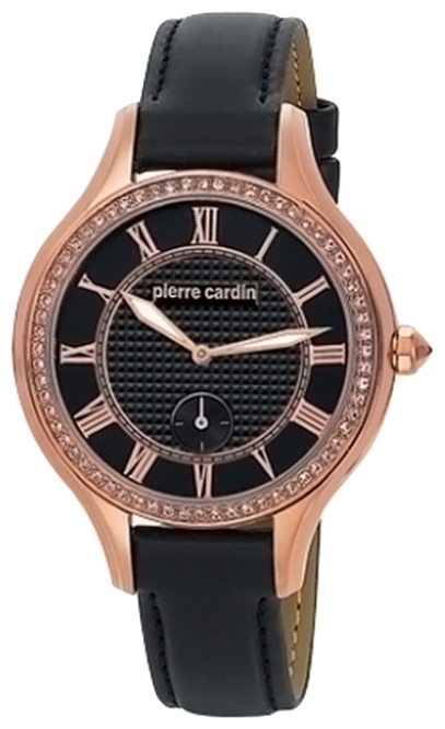 Часы Pierre Cardin PC105012F05