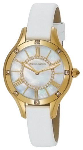 Часы Pierre Cardin PC105052F03