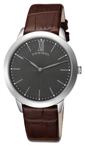 Часы Pierre Cardin PC105311F03