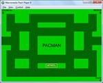 Quikk Pacman - лиса против зайца