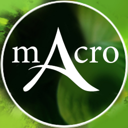 Автономный Макрос на посадку и сбор для Archeage 2.9