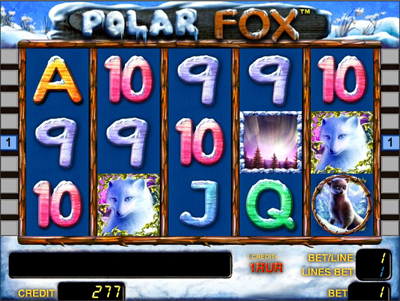 slot machine casino Polar Fox Masvet NEW