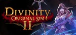 Divinity Original Sin 2 STEAM  (RU)