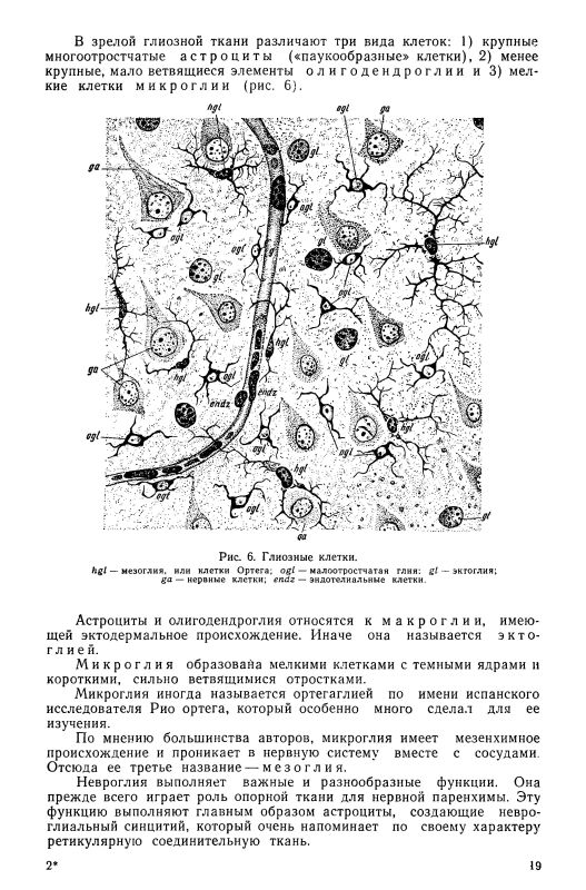 Hodos HG Nervous Diseases, 1965