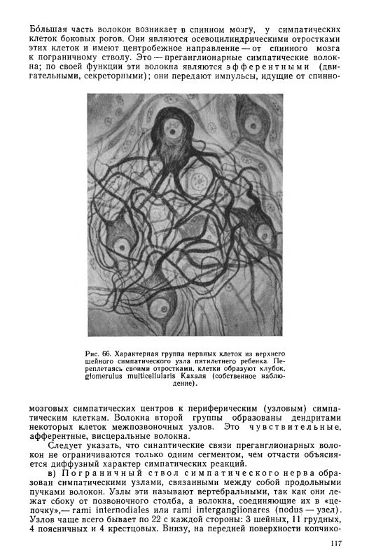 Hodos HG Nervous Diseases, 1965